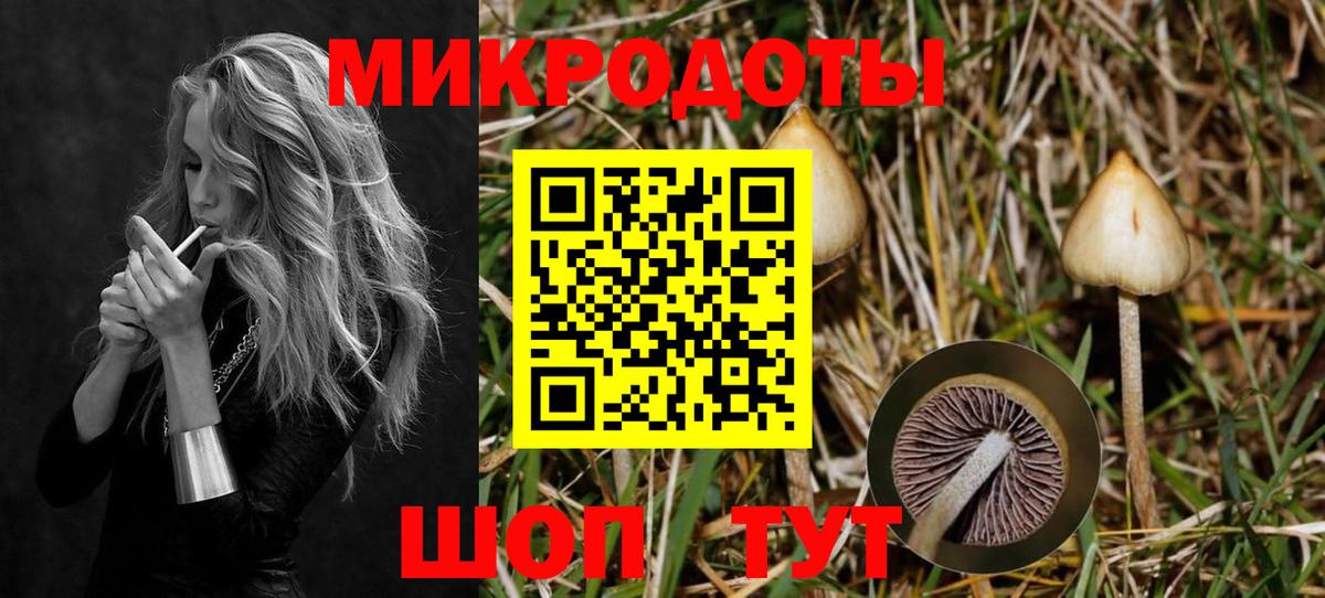 Галлюциногенные грибы Psilocybe Железногорск