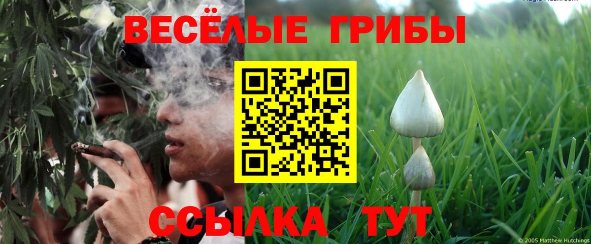 Железногорск  Псилоцибиновые грибы GOLDEN TEACHER  Вход с VPN 